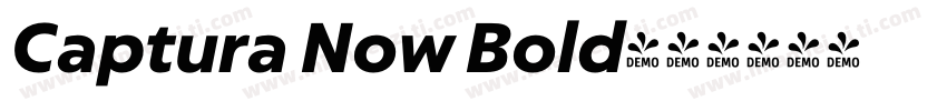 Captura Now Bold字体转换